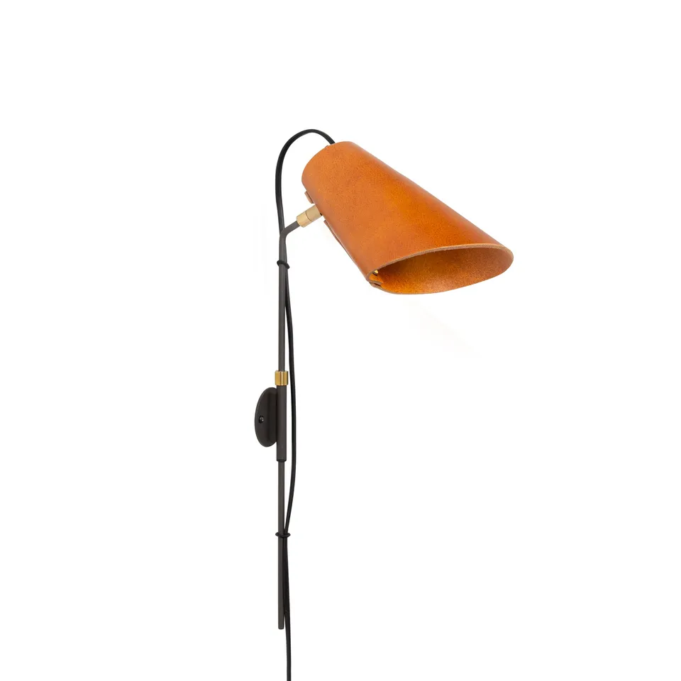 Zlamp Erik 235 19 vegglampe langt stativ skinn